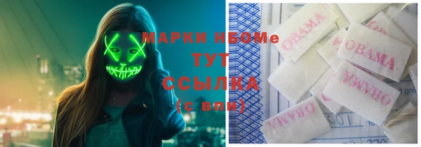 амф Алзамай