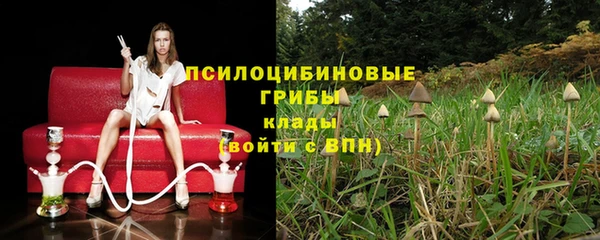 амф Алзамай