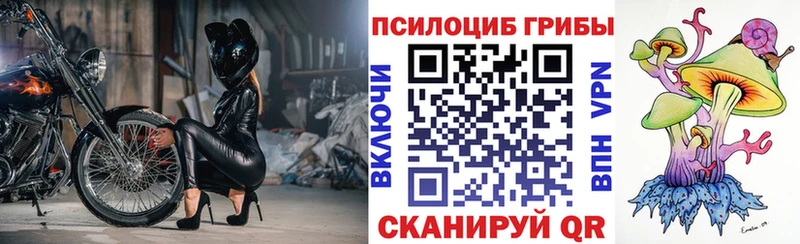 Галлюциногенные грибы MAGIC MUSHROOMS  купить   Спасск 